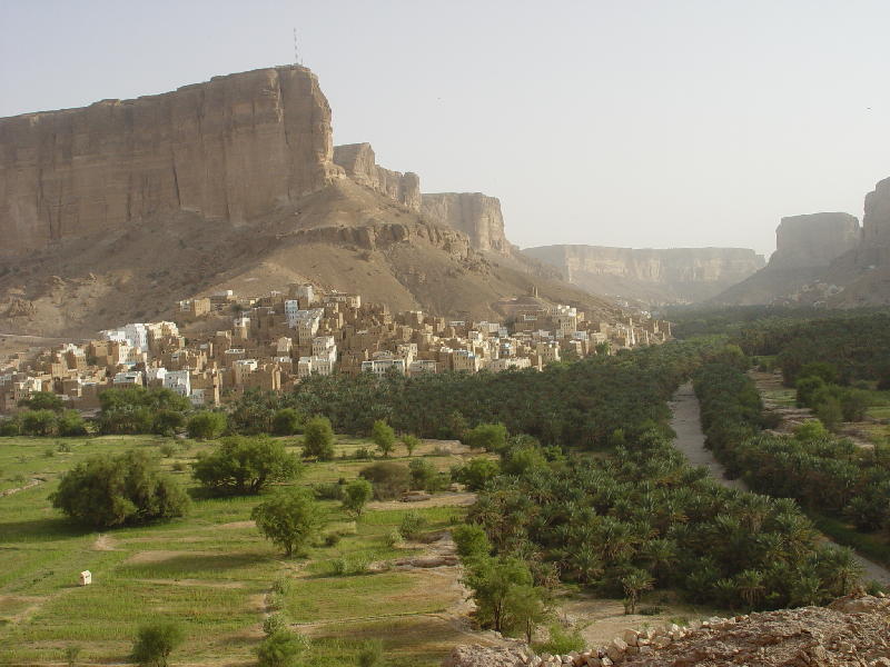 2007-10-11_15-56-25_wadi_414.jpg - WADI DAWAN : Budha