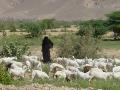 2007-10-08_09-08-52_wadi_002