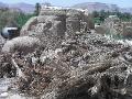 2007-10-08_10-54-36_wadi_023