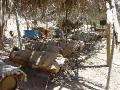 2007-10-08_10-59-27_wadi_028