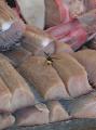 2007-10-08_12-25-16_wadi_055