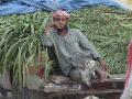 2007-10-09_16-34-12_wadi_154