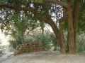 2007-10-10_16-39-21_wadi_280