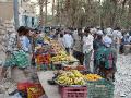 2007-10-11_15-22-59_wadi_391