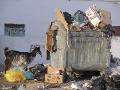 2007-10-12_16-42-12_almukalla_025