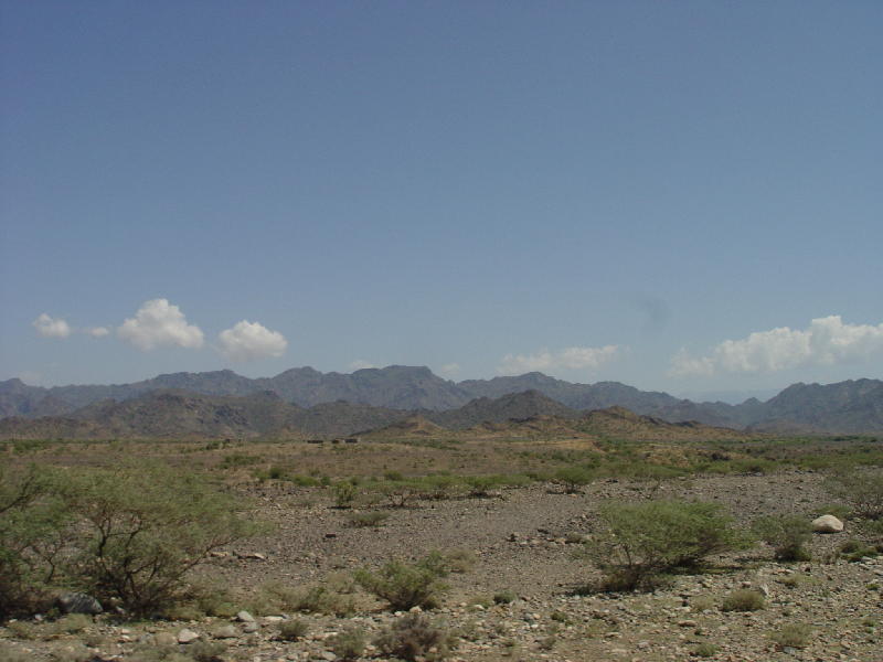 2007-10-18_11-08-31_tihama_014.jpg - Vers la Tihama