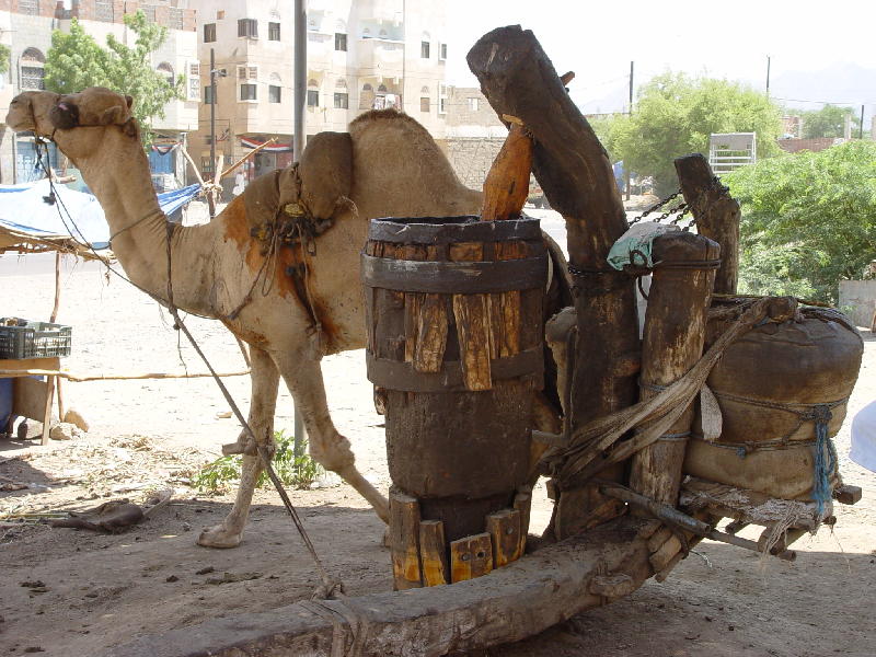 2007-10-18_12-21-34_tihama_066.jpg - Tihama: Hays moulin à sésame