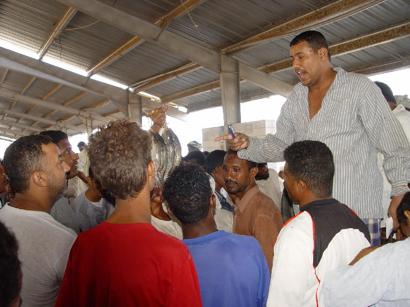 2007-10-19_08-27-13_hodeidah_043.jpg - Al Hodeidah :la criée