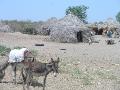 2007-10-18_11-47-43_tihama_017