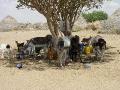 2007-10-18_11-50-07_tihama_027