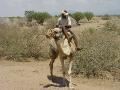 2007-10-18_11-59-26_tihama_052