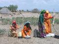 2007-10-18_12-02-12_tihama_058