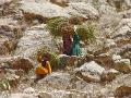 2007-10-22_12-23-20_djebel_030