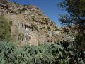 2007-10-23_09-44-02_kaukaban_049